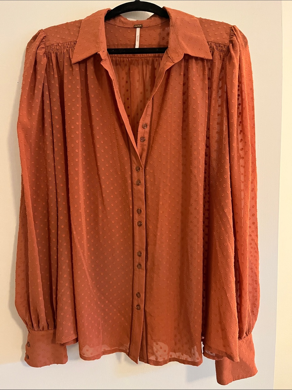 Free People blouse Textured Button-Down Blouse in Rust or Terracotta